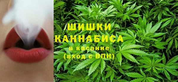 прущие грибы Балабаново