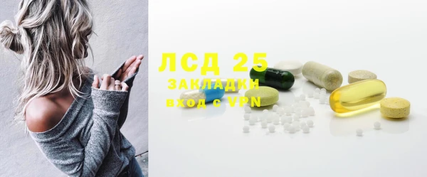 ешки Аркадак