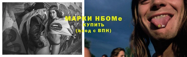 прущие грибы Балабаново