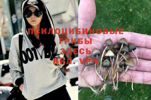 соль курить ск Армянск