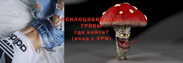 твердый Балахна