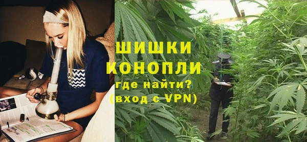 ешки Аркадак