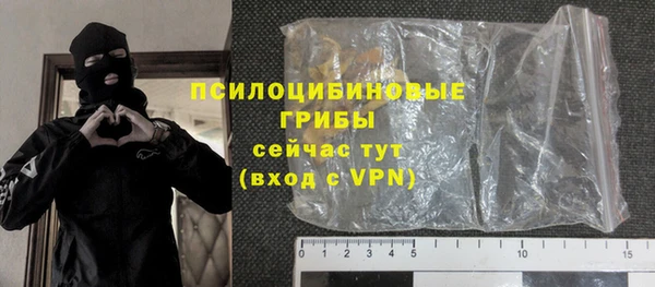 прущие грибы Балабаново