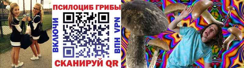 Псилоцибиновые грибы MAGIC MUSHROOMS  дарнет шоп  Астрахань 